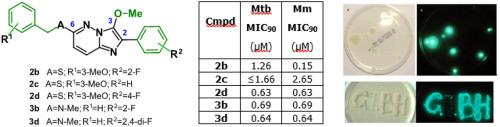 3-Methoxy-2-phenylimidazo[1,2-b]pyridazines highly active against Mycobacterium tuberculosis and Mycobacterium marinum