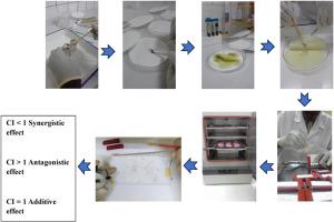 Evaluation of synergism in essential oils against the cattle tick Rhipicephalus microplus in Burkina Faso