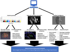 Computational methods in glaucoma research: Current status and future outlook