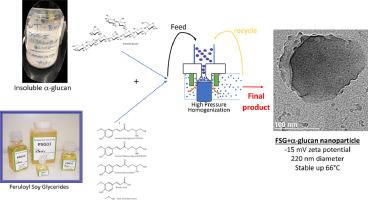 Biophysical characterization of α-glucan nanoparticles encapsulating feruloylated soy glycerides (FSG)