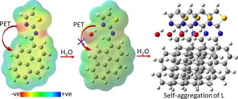 Pyrene-based fluorescent chemosensor for rapid detection of water and its applications