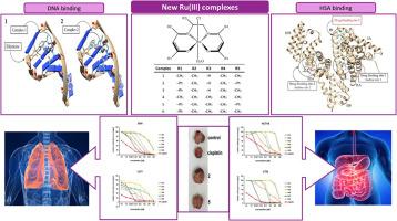 Synthesis, characterization, biomolecular interactions, molecular docking, and in vitro and in vivo anticancer activities of novel ruthenium(III) Schiff base complexes