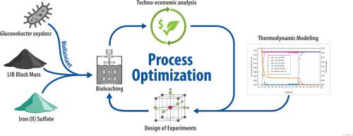 Sustainable bioleaching of lithium-ion batteries for critical metal recovery: Process optimization through design of experiments and thermodynamic modeling