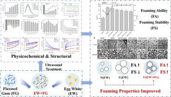 The impact of ultrasound treatment combined with flaxseed gum on the foaming properties of egg white