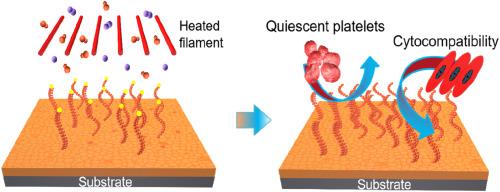 Vapor-based hybrid grafting of heparin-like coating for dialysis membranes with enhanced hemocompatibility