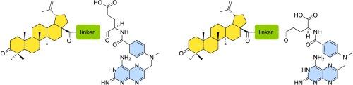 Synthesis of methotrexate-betulonic acid hybrids and evaluation of their effect on artificial and Caco-2 cell membranes