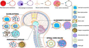 Cell membrane-based nanomaterials for therapeutics of neurodegenerative diseases