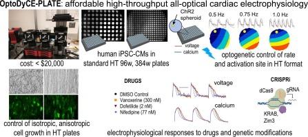 OptoDyCE-plate as an affordable high throughput imager for all optical cardiac electrophysiology