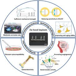 Feasibility, challenges and future prospects of biodegradable zinc alloys as orthopedic internal fixation implants