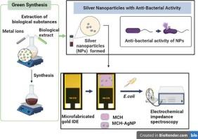 Green synthesized silver nanoparticles functionalized interdigitated electrodes for bacterial sensing using non-faradaic electrochemical impedance spectroscopy