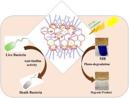 Non-covalent functionalization of surfactant-assisted graphene oxide with silver nanocomposites for highly efficient photocatalysis and anti-biofilm applications