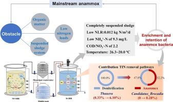 Pilot-scale demonstration of self-enrichment of anammox bacteria in a two-stage nitrification-denitrification suspended sludge system treating municipal wastewater under extremely low nitrogen loading rate