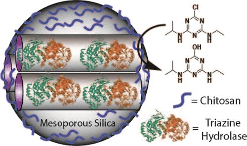 Atrazine Degradation Using Immobilized Triazine Hydrolase from Arthrobacter aurescens TC1 in Mesoporous Silica Nanomaterials