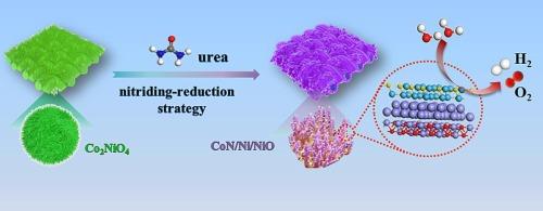 Nitriding-reduction fabrication of coralloid CoN/Ni/NiO for efficient electrocatalytic overall water splitting