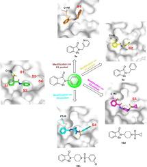 Identification of Ebselen derivatives as novel SARS-CoV-2 main protease inhibitors: Design, synthesis, biological evaluation, and structure-activity relationships exploration