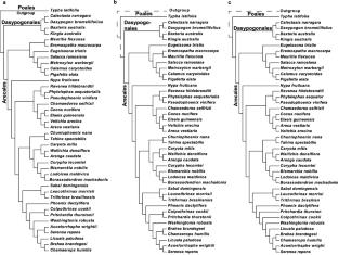 On Pattern-Cladistic Analyses Based on Complete Plastid Genome Sequences