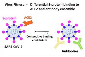 Predicting virus Fitness: Towards a structure-based computational model