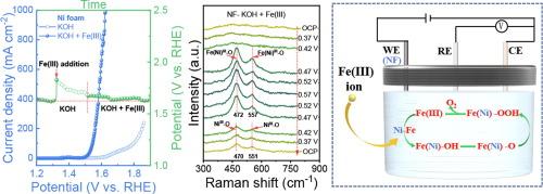 Insights into ionic association boosting water oxidation activity and dynamic stability