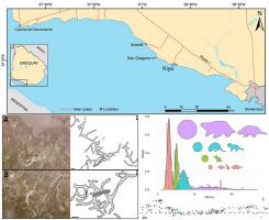 Late Miocene mammalian burrows in the Camacho Formation of Uruguay reveal a complex community of ecosystem engineers