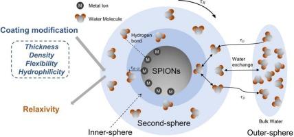 Coating influence on inner shell water exchange: An underinvestigated major contributor to SPIONs relaxation properties