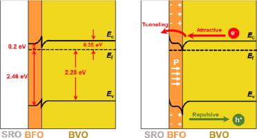 Enhancing BiVO4 photoanode performance by insertion of an epitaxial BiFeO3 ferroelectric layer