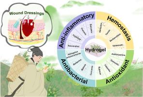 Hydrogel wound dressings containing bioactive compounds originated from traditional Chinese herbs: A review