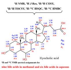 1H and 13C NMR spectral assignments for low-concentration bile acids in biological samples