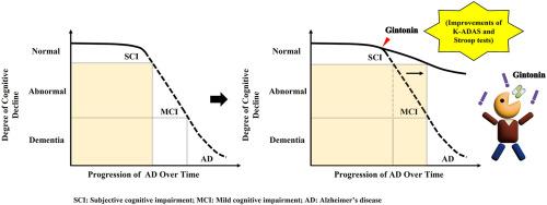 Cognitive function improvement effects of gintonin-enriched fraction in subjective memory impairment: An assessor- and participant-blinded placebo-controlled study