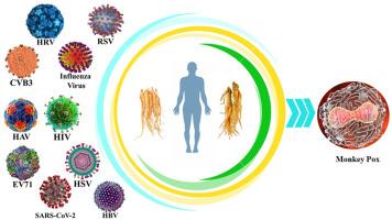 Antiviral activities of ginseng and its potential and putative benefits against monkeypox virus: A mini review