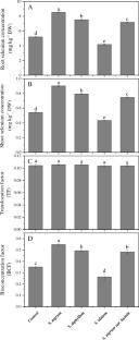 Effects of different Solanum sect. Solanum (Solanaceae) straw amendments on selenium accumulation and growth of grapevine