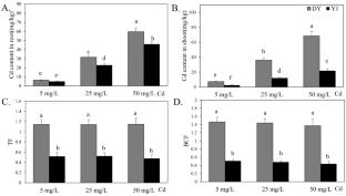 Different strategies of Cd tolerance and accumulation in low-Cd-accumulating and high-Cd-accumulating ramie cultivars