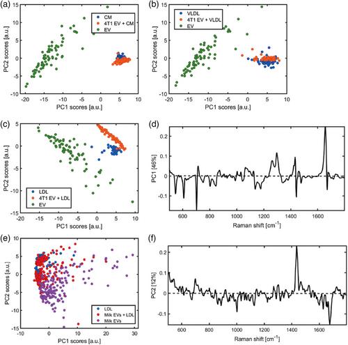 Physical association of low density lipoprotein particles and extracellular vesicles unveiled by single particle analysis