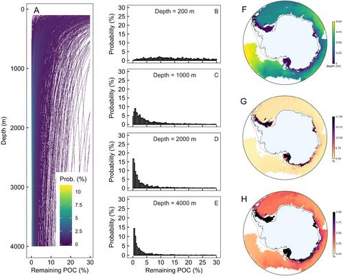 Identifying the Most (Cost-)Efficient Regions for CO2 Removal With Iron Fertilization in the Southern Ocean