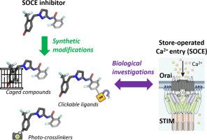 Development of chemical tools based on GSK-7975A to study store-operated calcium entry in cells