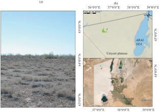 The Ecological–Phytocenotic Characteristics of Halocnemum strobilaceum (Pall.) Bieb. Grasslands on the Ustyurt Plateau in Karakalpakstan