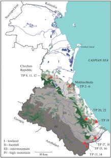 The Flora of Communities with Paliurus spina-christi Mill. and the Problem of their Primary Nature in Piedmont Dagestan