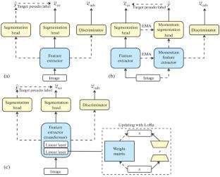 Low Rank Adaptation for Stable Domain Adaptation of Vision Transformers