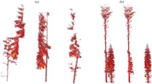 Individual Tree Segmentation Quality Evaluation Using Deep Learning Models LiDAR Based