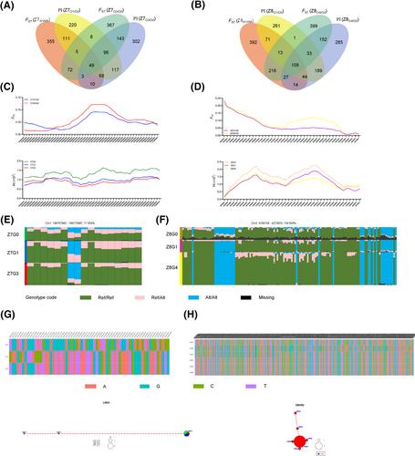 Selective analysis of resistance and susceptibility to duck hepatitis A virus genotype 3 in Pekin duck