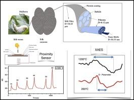 Studies on effect of temperature on carbonization of silk (Bombyx mori) and its application as proximity sensor