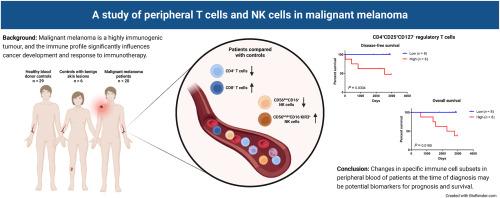 An increase in regulatory T cells in peripheral blood correlates with an adverse prognosis for malignant melanoma patients – A study of T cells and natural killer cells