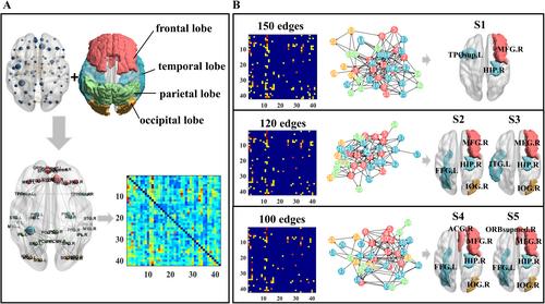 Virtual external stimulation promotes the transformation of the brain state from early mild cognitive impairment to health