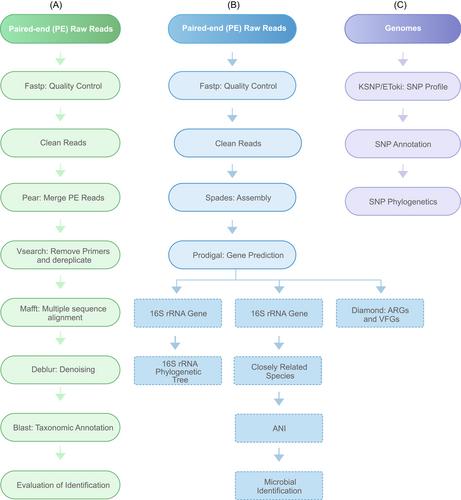 MIST: A microbial identification and source tracking system for next-generation sequencing data