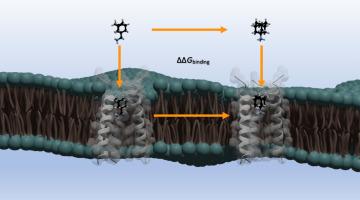 Accurate calculation of affinity changes to the close state of influenza A M2 transmembrane domain in response to subtle structural changes of adamantyl amines using free energy perturbation methods in different lipid bilayers