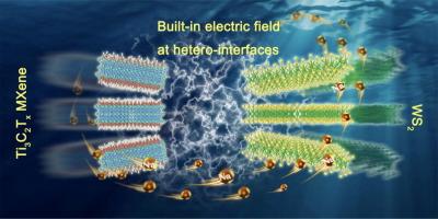 Interfacial built-in electric field and crosslinking pathways enabling WS2/Ti3C2Tx heterojunction with robust sodium storage at low temperature