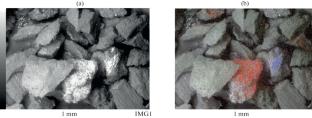 Developing Additives Based on Russian Coal for the Thermal Hydrocracking of Heavy Tar. 2. Surface Morphology and Porous Structure