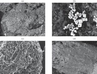 Analysis of Carbonized Industrial Samples by Scanning Electron Microscopy