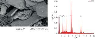 Reducing the Basicity of Kaa-Khem Coal by Flotation