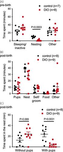 High fat diet-induced maternal obesity in mice impairs peripartum maternal behaviour