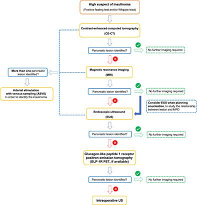 Diagnostic work-up and surgical management of insulinoma: A retrospective analysis from a tertiary referral center